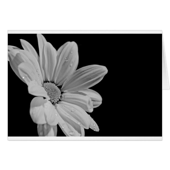 Floral Pacífico (Anverso (Horizontal))