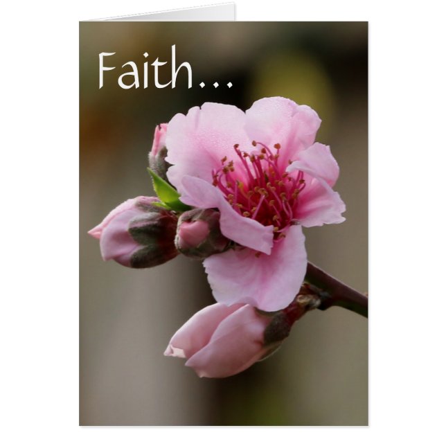 Floral, Peach Blossom con Scripture verse sobre la (Frente)