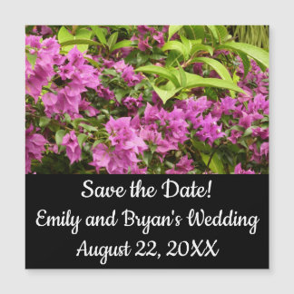 Floral Tropical Morada Bougainvillea