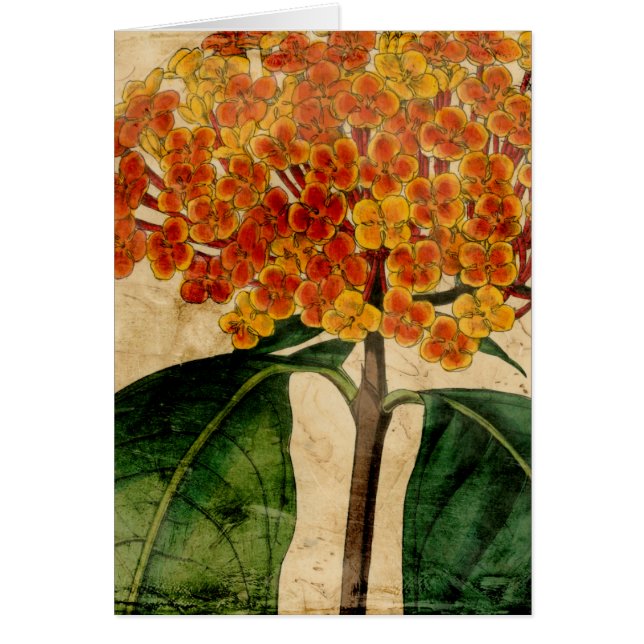 Floral vibrante I (Frente)