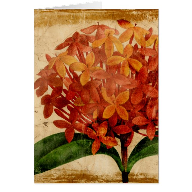 Floral vibrante III (Frente)