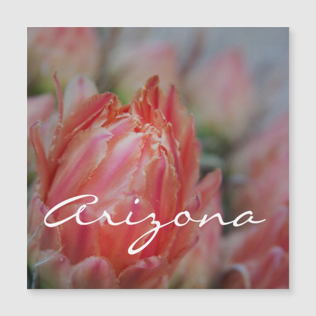 Florece el verano en Arizona (Anverso)