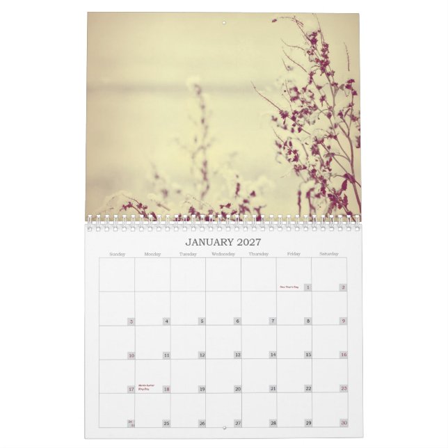 Florece todo el calendario largo 2013 del año (Jan 2027)
