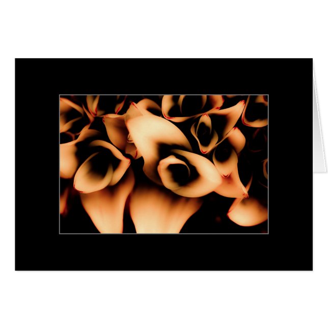 Florecientes de Otoño (Anverso (Horizontal))