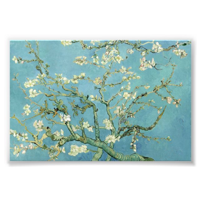 Florecimiento de almendras por fotos del Bella Art (Frente)