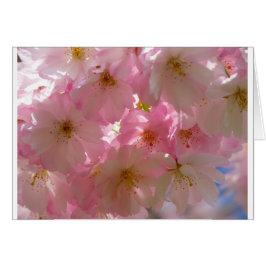 Florecimiento de cerezo japonés