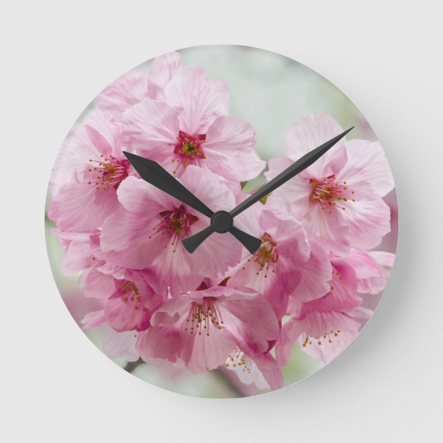 Florecimiento de cerezo japonés, reloj de pared (Anverso)