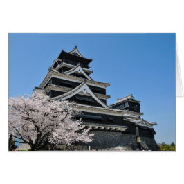Florecimiento De Cerezos En Japón