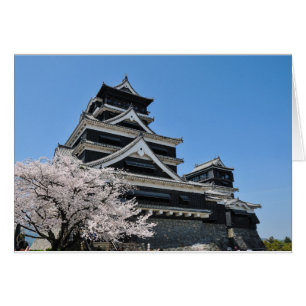 Florecimiento De Cerezos En Japón