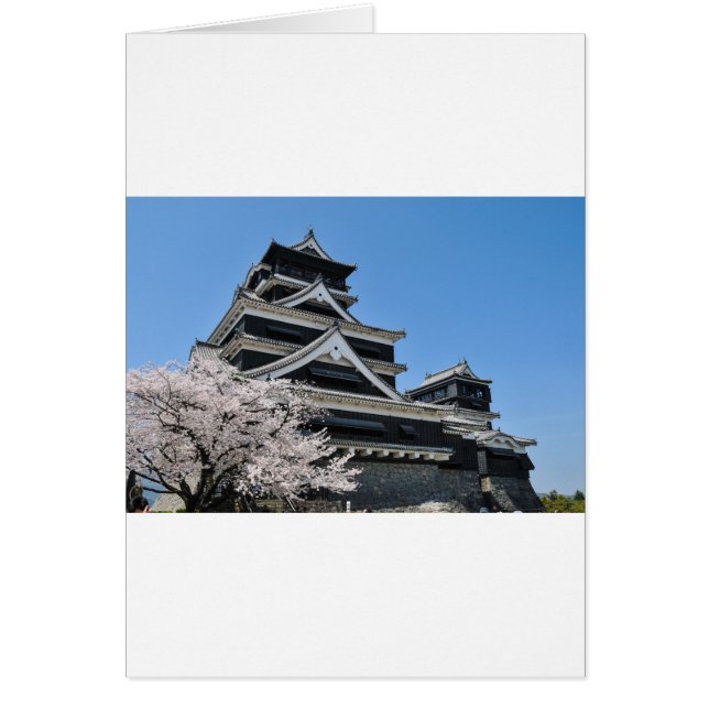 Florecimiento De Cerezos En Japón (Frente)