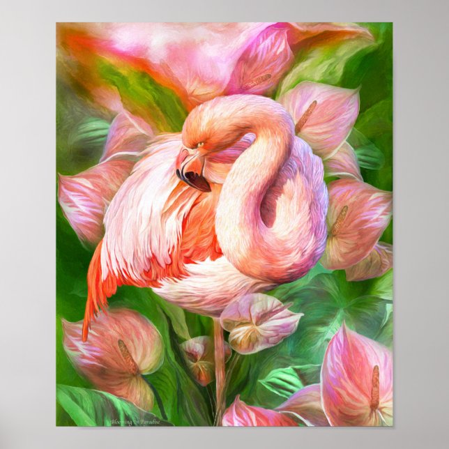 Florecimiento De Flamingo En Poster De Arte Paraís (Frente)