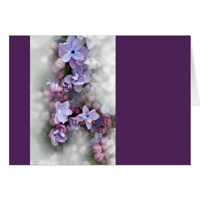 Florecimiento de la laguna (Anverso (Horizontal))