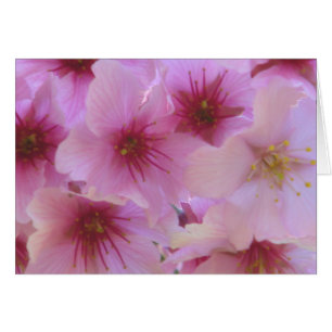 Florecimiento del amor