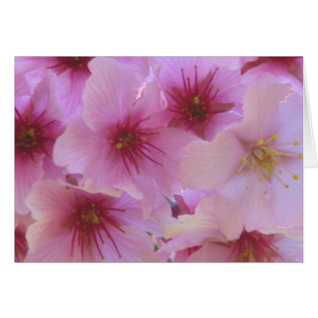 Florecimiento del amor (Anverso (Horizontal))