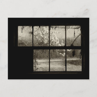 Florecimiento del cerezo a través de una tarjeta p