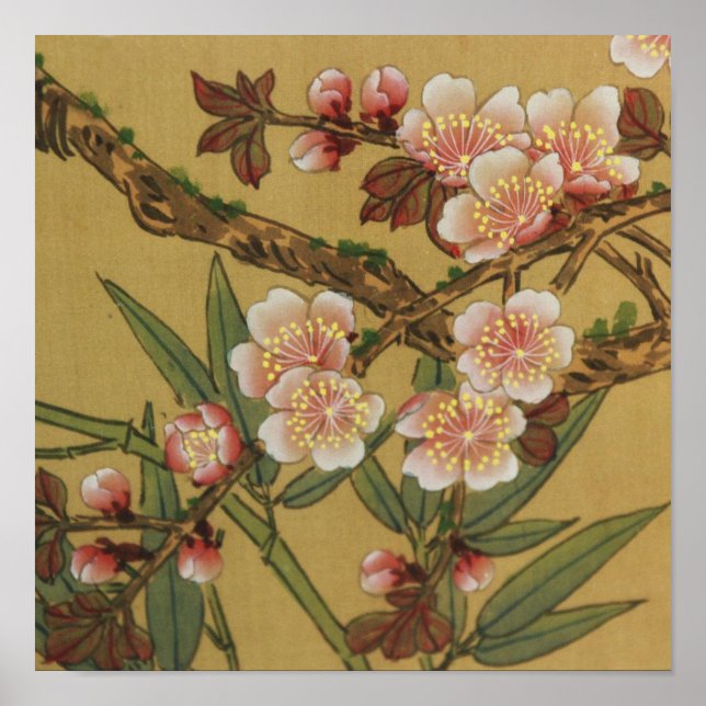 Florecimiento del cerezo arte asiático japonés (Frente)