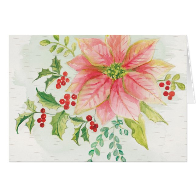 Florecimiento del invierno | Poinsettia con aroma  (Anverso (Horizontal))