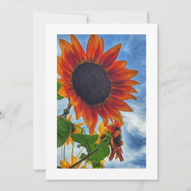 Florecimiento del sol: Invitación Personalizado (Anverso)