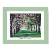 florecimiento rosa bonito paisaje Edimburgo arte f