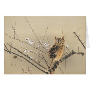 Florecimiento temprano de ciruelas por Nishimura G