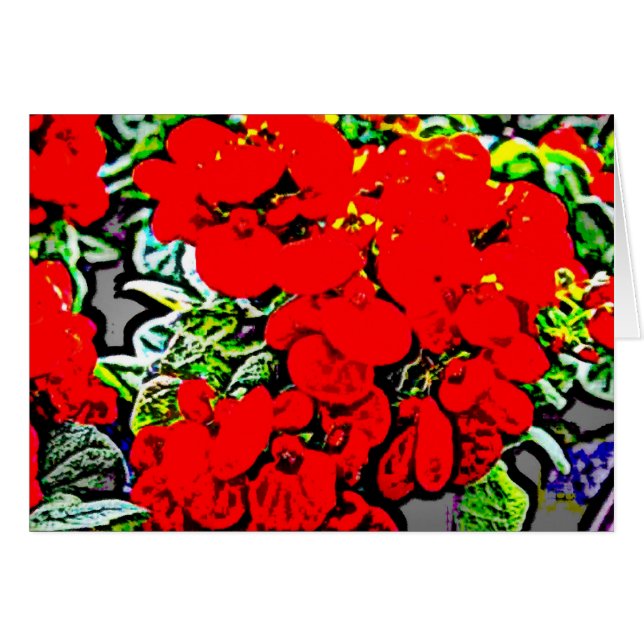 Flores 6 (Anverso (Horizontal))