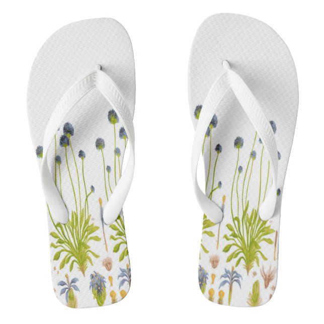 Flores abstractas: chanclas femeninas (Plantilla)