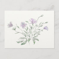 Flores acuáticas postales