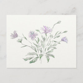 Flores acuáticas postales