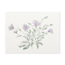 Flores acuáticas postales