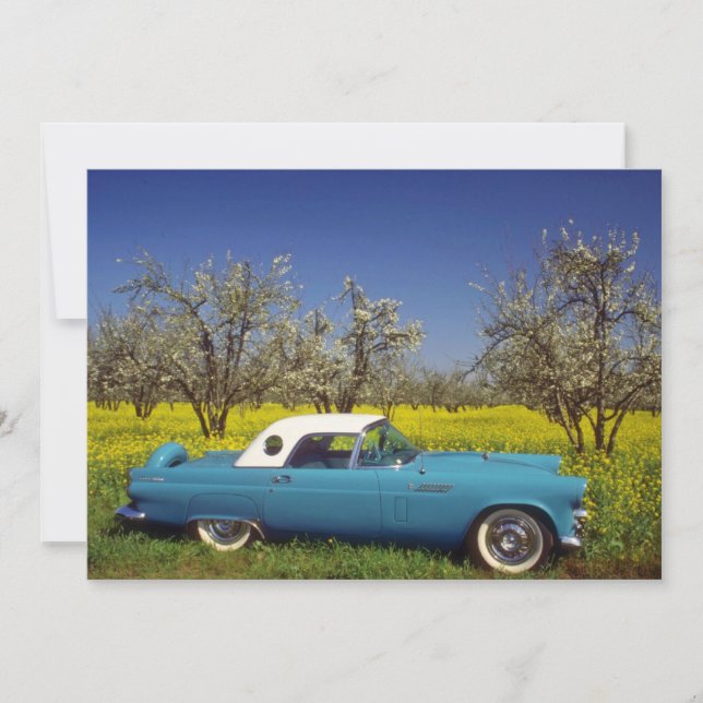 flores amarillas 57 T-Bird (Anverso)