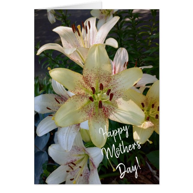 Flores amarillas amarillas enmascaradas con tarjet (Frente)