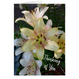 Flores amarillas amarillas que piensan en tu carta