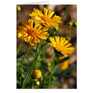 Flores amarillas bonitas