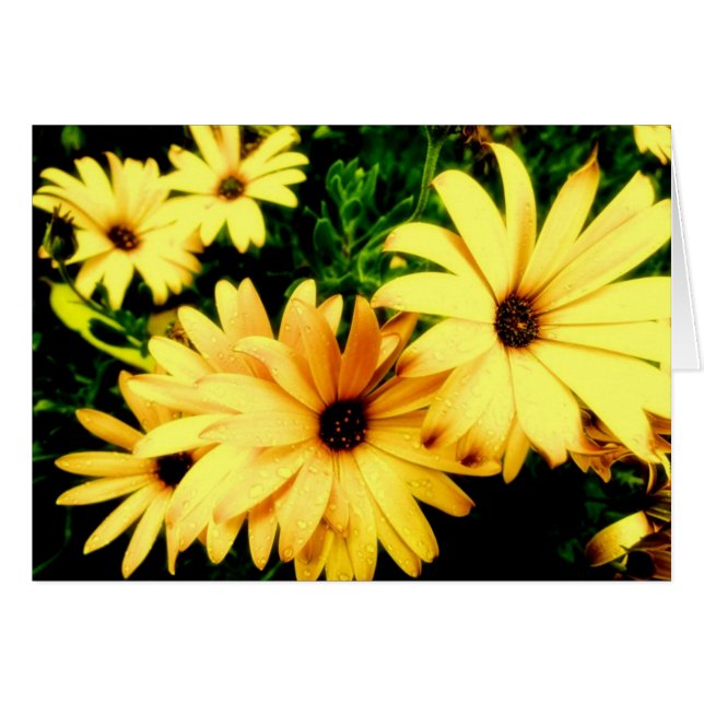 Flores amarillas con la tarjeta de la flor de las (Anverso (Horizontal))