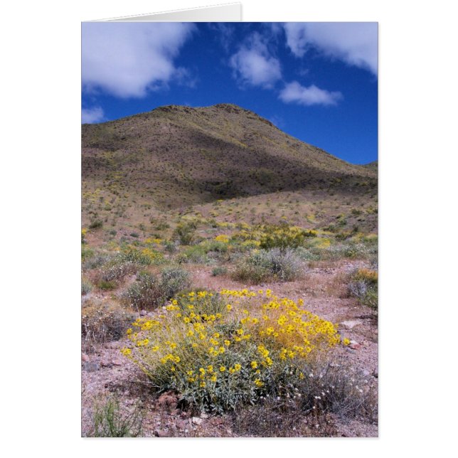 Flores Amarillas en Valle de la Muerte (Frente)