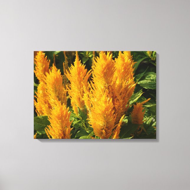 Flores amarillas Impresión única (Anverso)