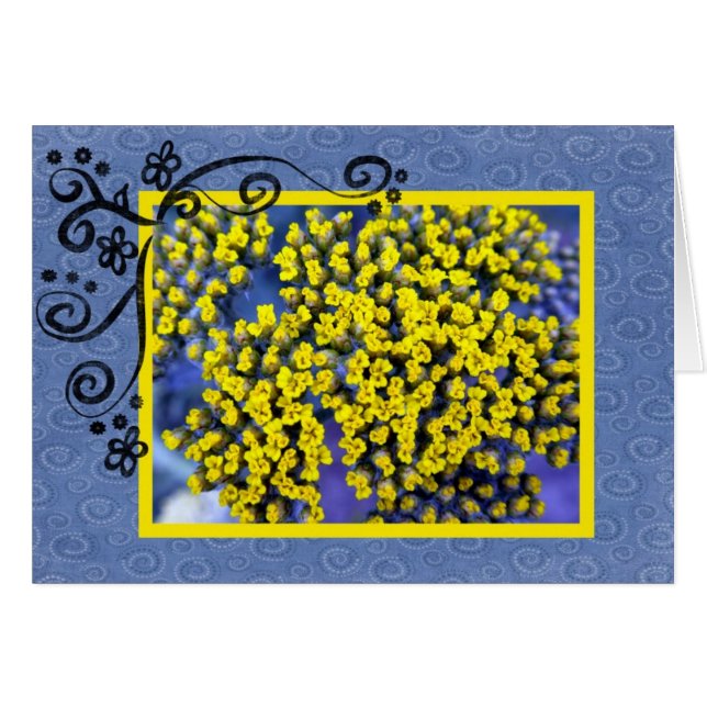 Flores amarillos (Anverso (Horizontal))