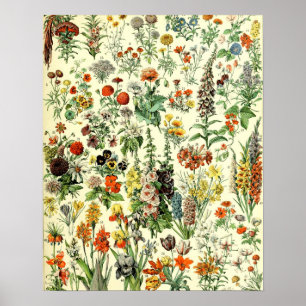 Flores antiguas arte de Ilustracion
