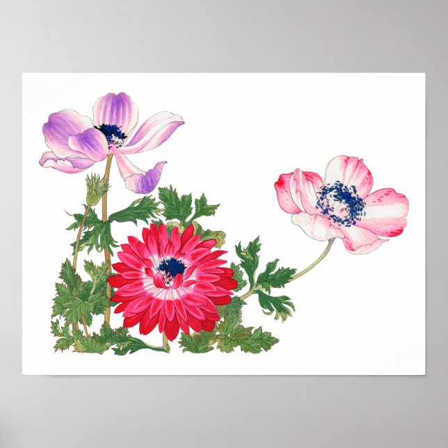 Flores , arte japonés vintage 16x 12 (Frente)