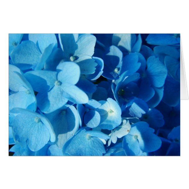 Flores azules (Anverso (Horizontal))