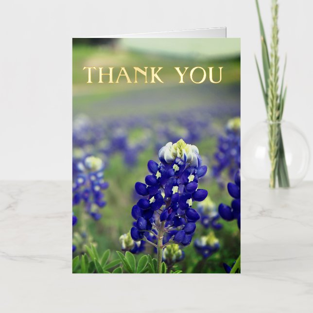 Flores azules de Bluebonnets Texas Texan Floral (Anverso)