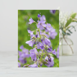 Flores azules delgadas en un campo verde en primav