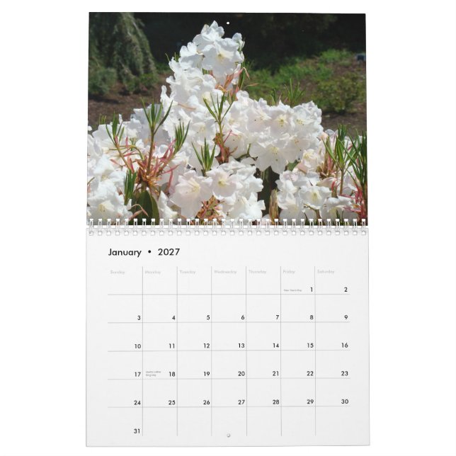 Flores blancas de ángel Calendario Flores blancas (Jan 2027)
