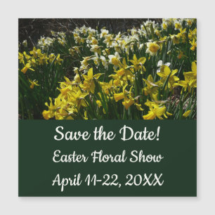 Flores blancas de arcissus paperblancas