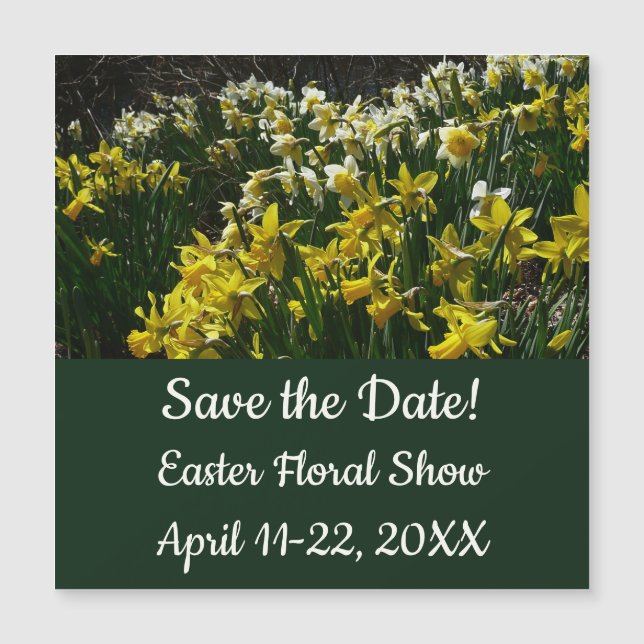 Flores blancas de arcissus paperblancas (Anverso)