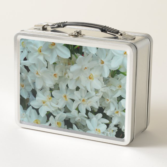 Flores blancas de arcissus paperblancas (Anverso)