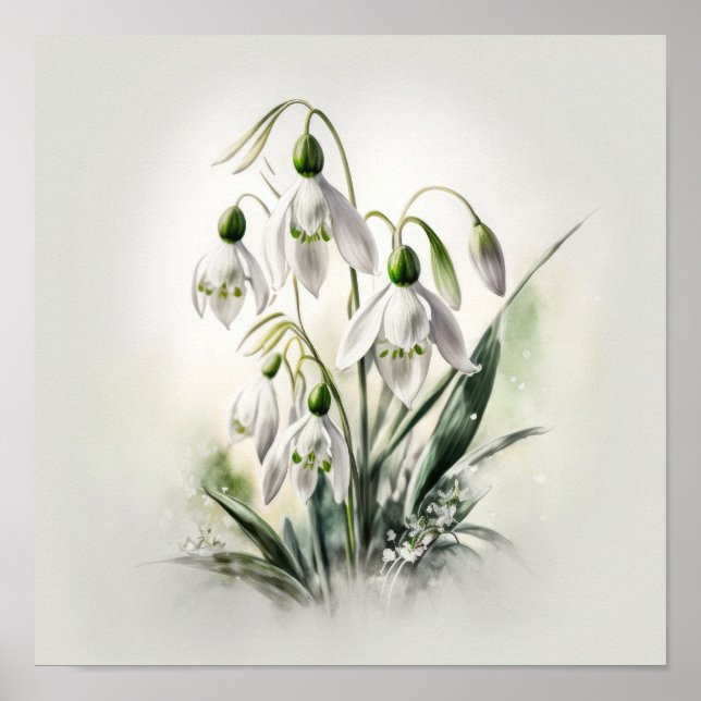 Flores Blancas de Campanilla Arte Impreso Póster (Frente)