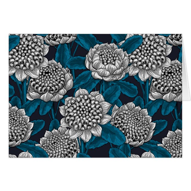 Flores blancas de waratah (Anverso (Horizontal))