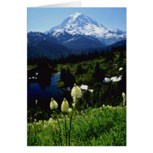 flores blancas del Monte Rainier