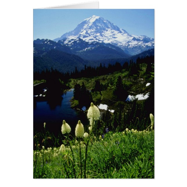 flores blancas del Monte Rainier (Frente)
